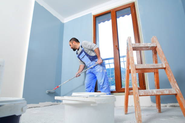 Professional Mold Removal in Rusk, TX